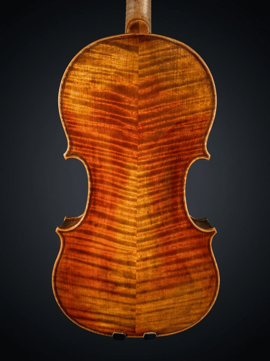 Guarneri del Gesù — principal view